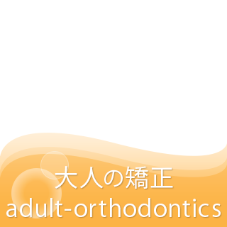 大人の矯正
